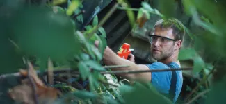 A student working in the wild