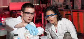 Students working in a lab